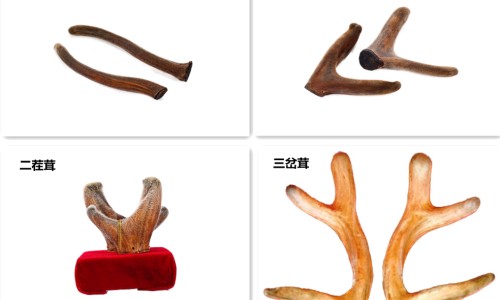 钙剂抗过敏原理-钙抗拮剂有哪些专区_钙抗结剂是什么意思专区_如何应对钙抗剂副作用网